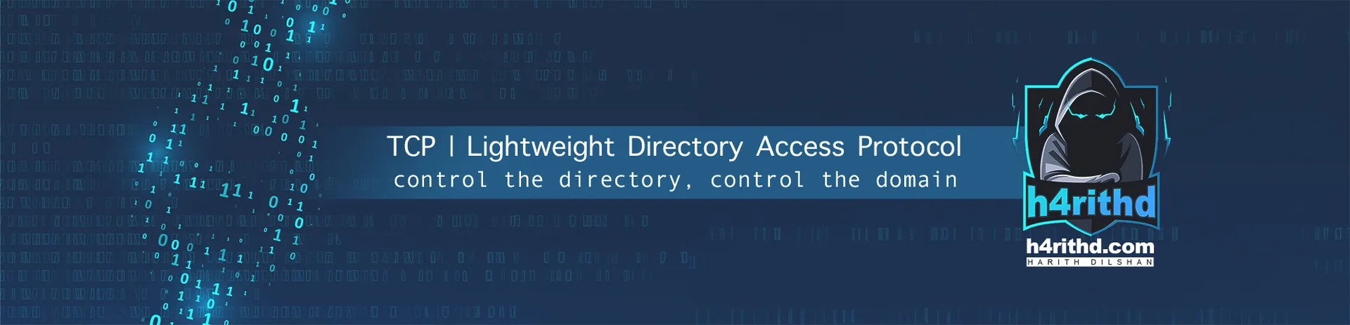 TCP: LDAP banner
